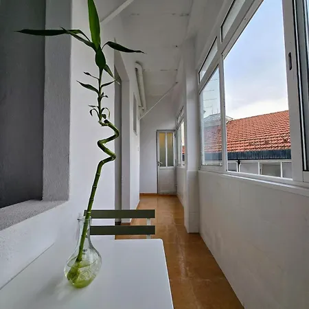 Central Apartment דירה *